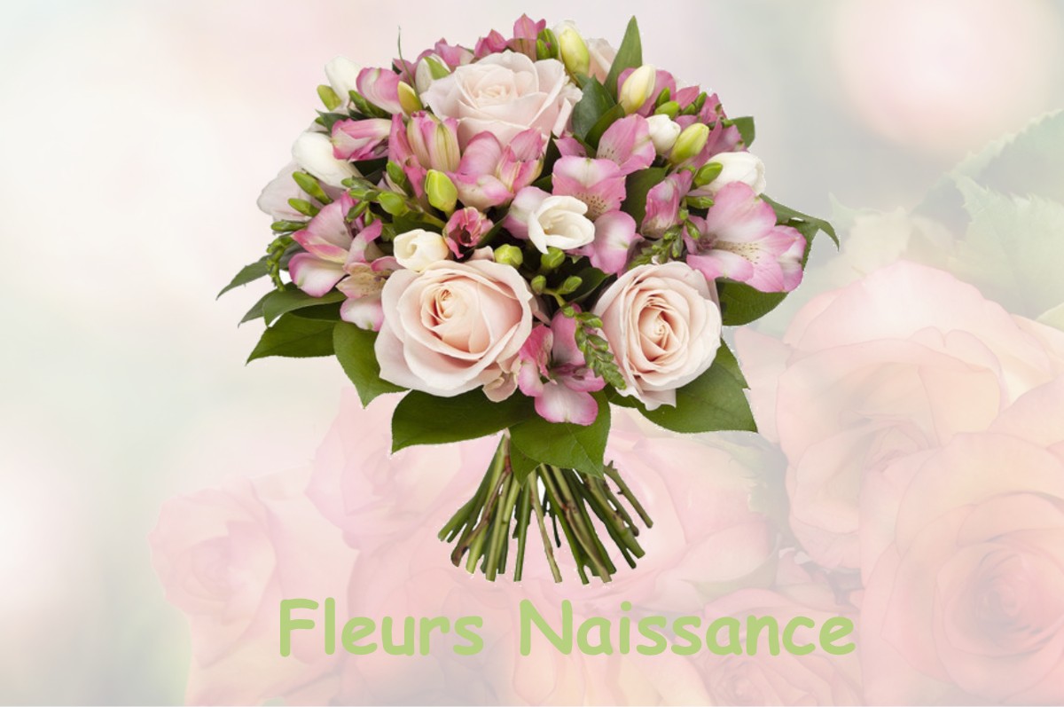 fleurs naissance PARIGNE-L-EVEQUE