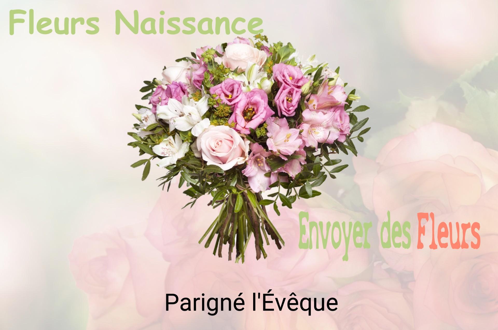 Bouquet de fleurs de naissance livré à Parigné-l'Évêque